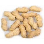 Avicentra Burské oříšky 10 kg – Zboží Dáma