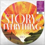 Sheryl Crow - Story Of Everything - picture Disc LP – Zboží Mobilmania