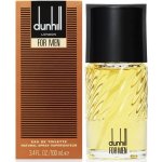 Dunhill Dunhill toaletní voda pánská 100 ml – Hledejceny.cz