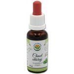 Salvia Paradise Chmel otáčivý AF tinktura 30 ml – Hledejceny.cz