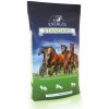 Krmivo a vitamíny pro koně ENERGYS Deheus Krmivo pro koně Standard granulované 25 kg