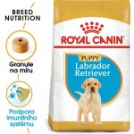 Royal Canin labrador retriever Puppy 24 kg – Sleviste.cz