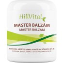 Masážní přípravek Hillvital Master balzám bolest kloubů, svalů, zad 250 ml