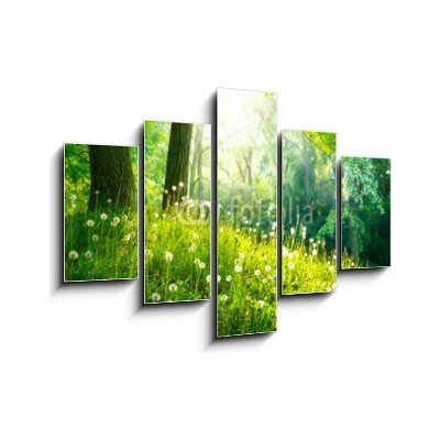 Obraz 5D pětidílný - 150 x 100 cm - Spring Nature. Beautiful Landscape. Green Grass and Trees Jarní příroda. Krásná krajina. Zelená tráva a stromy – Hledejceny.cz