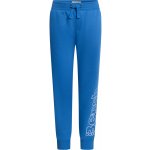 Bench chlapecké tepláky modrá – Zboží Dáma