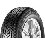 GT Radial WinterPro 2 215/55 R16 93H – Hledejceny.cz