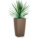 Lechuza Květináč Cubico Color Kapučíno 22 cm – Hledejceny.cz