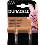 Duracell Basic AAA 2ks 10148634PS – Zbozi.Blesk.cz