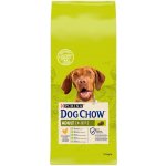 Purina Dog Chow Adult s kuřetem 14 kg – Hledejceny.cz