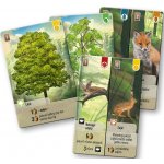 Asmodee Smíšený les – Zboží Živě