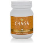Empower Supplements Chaga Premium 100 kapslí – Hledejceny.cz