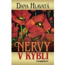 Nervy v kýbli - Dana Hlavatá