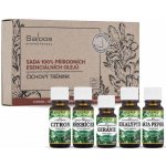 Saloos sada esenciálních olejů Čichový trénink 1 x ml + 4 x 10 ml – Zboží Dáma Saloos sada esenciálních olejů Čichový trénink 1 x ml + 4 x 10 ml – Zboží Dáma