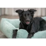 Vital Bed JONNA ortopedický obdélníkový pelech manšestrový plyš šalvějová – Zboží Mobilmania