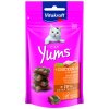 Vitakraft Cat Yums kuřecí s trávou 40 g