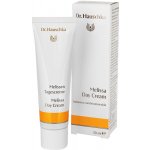 Dr. Hauschka meduňkový pleťový krém 30 ml – Hledejceny.cz