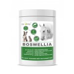 Dromy BOSWELLIA Serrata 750 g – Zboží Mobilmania