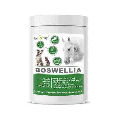Dromy BOSWELLIA Serrata 750 g – Zboží Mobilmania