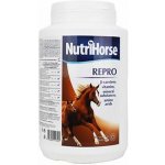 Canvit Nutri Horse MSM pro koně plv 1 kg – Hledejceny.cz