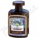Carpathia šampon mastné Žebříček 300 ml