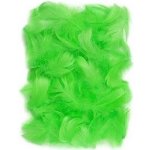 DP Craft Peří zelené 10 gr. 5-12 cm – Hledejceny.cz