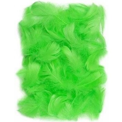 DP Craft Peří zelené 10 gr. 5-12 cm – Hledejceny.cz