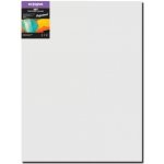 Octopus Professional malířské plátno 350 g 80 x 100 cm – Zboží Dáma