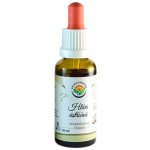 Salvia Paradise Hlíva ústřičná AF tinktura 30 ml – Hledejceny.cz