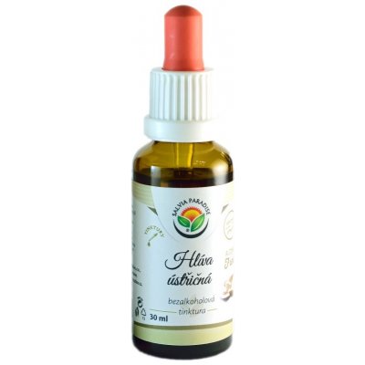 Salvia Paradise Hlíva ústřičná AF tinktura 30 ml – Hledejceny.cz
