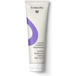 Dr. Hauschka Body Care zklidňující tělový krém s levandulí a santalovým dřevem (Lavender Sandalwood Calming Body Cream) 145 ml – Zboží Dáma