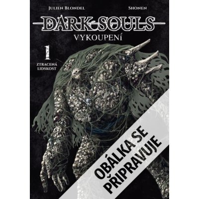 Dark Souls: Vykoupení 1 - Ztracená lidskost - Julien Blondel – Zboží Dáma