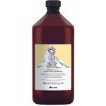 Davines NATURALTECH Purifying čistící šampon na mastné nebo suché lupy 1000 ml – Hledejceny.cz