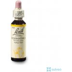 Bachovy květové esence Chmerek roční Scleranthus 20 ml – Hledejceny.cz