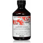 Davines Naturaltech Energizing Shampoo 250 ml – Zbozi.Blesk.cz