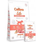 Calibra Dog Life Starter & Puppy Lamb 14,5 kg – Hledejceny.cz