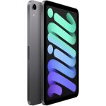 Apple iPad mini (2021) 64GB Wi-Fi + Cellular Space Gray MK893FD/A – Hledejceny.cz