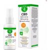 Doplněk stravy na spánek a nervovou soustavu Zelená Země CBD ústní sprej s 250 mg CBD a koloidním stříbrem 50 ml