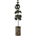 House Doctor Umělý stromek Pine Green 60 cm, zelená barva, dřevo, plast – Hledejceny.cz