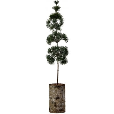 House Doctor Umělý stromek Pine Green 60 cm, zelená barva, dřevo, plast – Hledejceny.cz