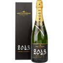 Moët & Chandon Grand Vintage 2013 12,5% 0,75 l (karton)