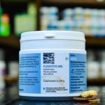 MRL Pleurotus mycélium-Biomasa 250 tablet – Hledejceny.cz