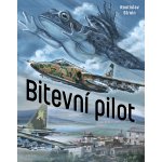 Bitevní pilot - Stroin Rostislav – Hledejceny.cz