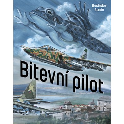 Bitevní pilot - Stroin Rostislav