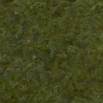 Sera Flora Nature 1 l – Zbozi.Blesk.cz