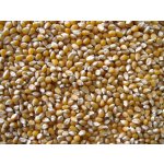 Les Fruits du Paradis Kukuřice na popcorn BIO 25 kg – Sleviste.cz