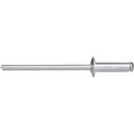 EXTOL PREMIUM nýty trhací hliníkové sada 1000ks, O 3,2x9,6mm plochá hlava 8813843
