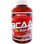 XXtreme BCAA Malate 211 120 kapslí – Zboží Mobilmania