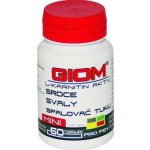 Giom L-karnitin Aktiv Mini 60 tbl – Hledejceny.cz