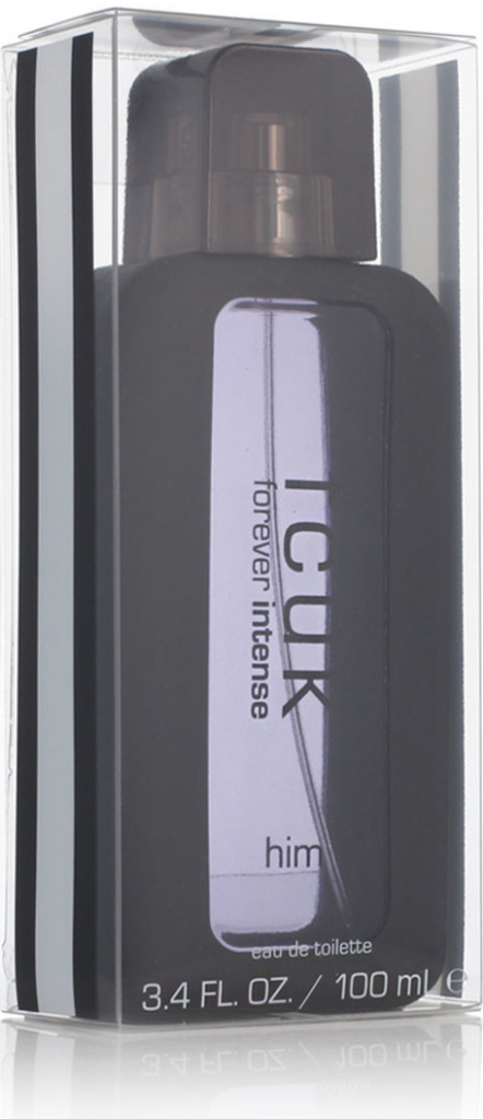 Fcuk Forever Intense toaletní voda pánská 100 ml