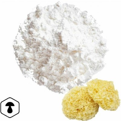 LifeChi Rosolovka řasotvará Snow fungus, Tremella fuciformis extrakt v prášku 50 g – Hledejceny.cz